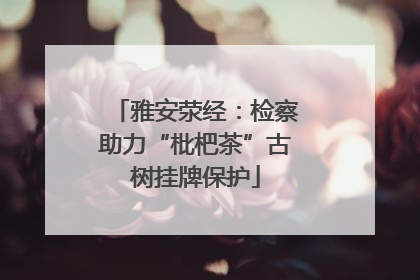 雅安荥经：检察助力“枇杷茶”古树挂牌保护