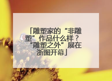 雕塑家的“非雕塑”作品什么样？“雕塑之外”展在浙图开幕