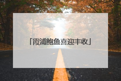 霞浦鲍鱼喜迎丰收