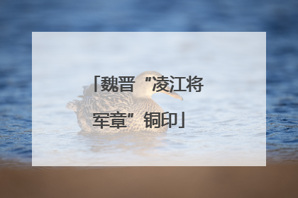 魏晋“凌江将军章”铜印