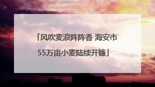 风吹麦浪阵阵香 海安市55万亩小麦陆续开镰