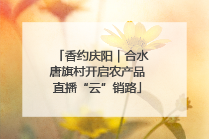 香约庆阳｜合水唐旗村开启农产品直播“云”销路