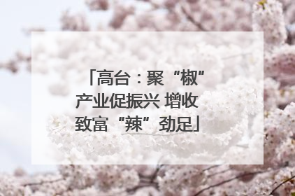 高台：聚“椒”产业促振兴 增收致富“辣”劲足