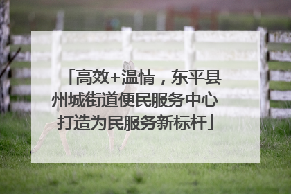 高效+温情，东平县州城街道便民服务中心打造为民服务新标杆
