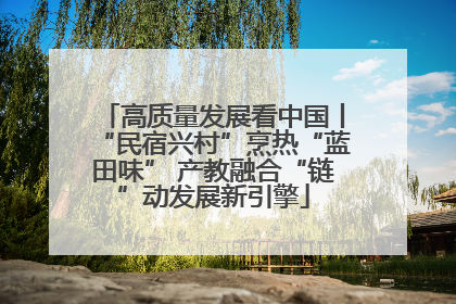 高质量发展看中国丨“民宿兴村”烹热“蓝田味” 产教融合“链”动发展新引擎