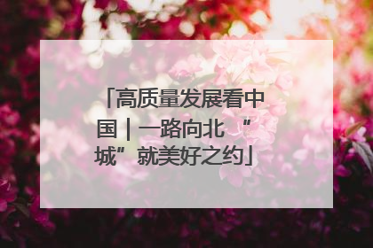 高质量发展看中国｜一路向北 “城”就美好之约
