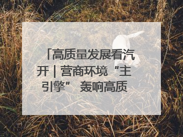 高质量发展看汽开｜营商环境“主引擎” 轰响高质量发展新赛道