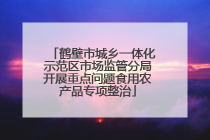 鹤壁市城乡一体化示范区市场监管分局开展重点问题食用农产品专项整治