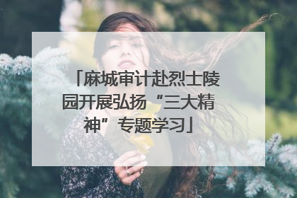 麻城审计赴烈士陵园开展弘扬“三大精神”专题学习