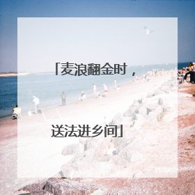 麦浪翻金时，送法进乡间