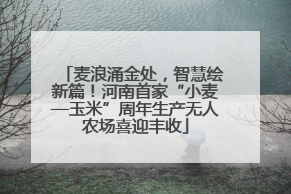 麦浪涌金处，智慧绘新篇！河南首家“小麦—玉米”周年生产无人农场喜迎丰收