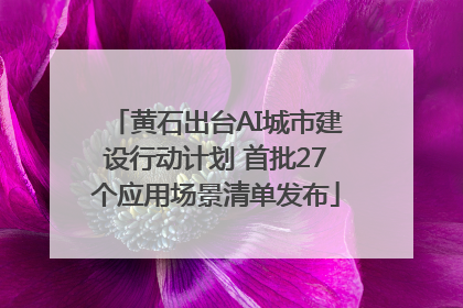 黄石出台AI城市建设行动计划 首批27个应用场景清单发布