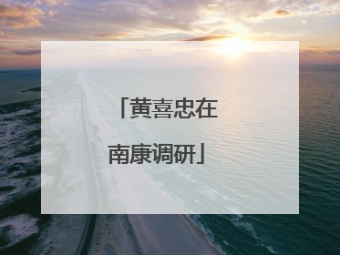 黄喜忠在南康调研