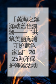 黄海之滨涌动蓝色浪潮——“共筑美丽海湾 守护蓝色家园”2025海洋保护净滩活动暨“美丽江苏—江河湖海青蓝行”海洋篇在连云港举行