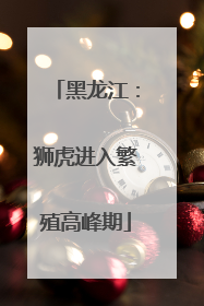 黑龙江：狮虎进入繁殖高峰期
