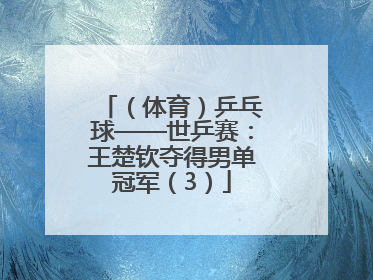 （体育）乒乓球——世乒赛：王楚钦夺得男单冠军（3）