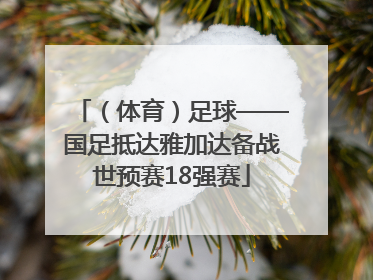 （体育）足球——国足抵达雅加达备战世预赛18强赛