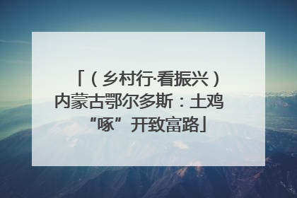 （乡村行·看振兴）内蒙古鄂尔多斯：土鸡“啄”开致富路