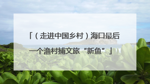 （走进中国乡村）海口最后一个渔村捕文旅“新鱼”