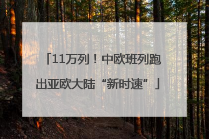 11万列！中欧班列跑出亚欧大陆“新时速”