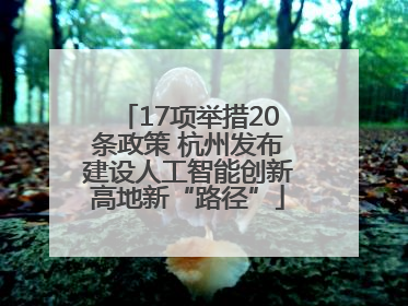 17项举措20条政策 杭州发布建设人工智能创新高地新“路径”