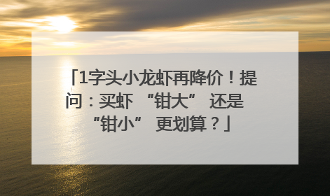1字头小龙虾再降价！提问：买虾 “钳大” 还是 “钳小” 更划算？