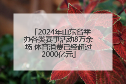 2024年山东省举办各类赛事活动8万余场 体育消费已经超过2000亿元