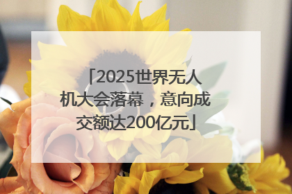 2025世界无人机大会落幕，意向成交额达200亿元
