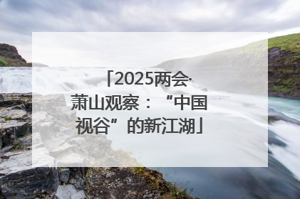 2025两会·萧山观察：“中国视谷”的新江湖