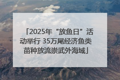 2025年“放鱼日”活动举行 35万尾经济鱼类苗种放流崇武外海域