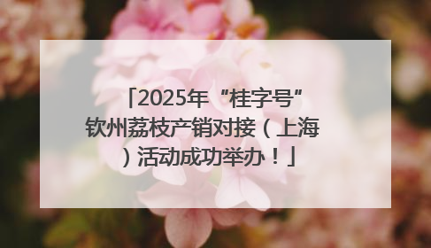 2025年“桂字号”钦州荔枝产销对接（上海）活动成功举办！
