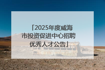 2025年度威海市投资促进中心招聘优秀人才公告