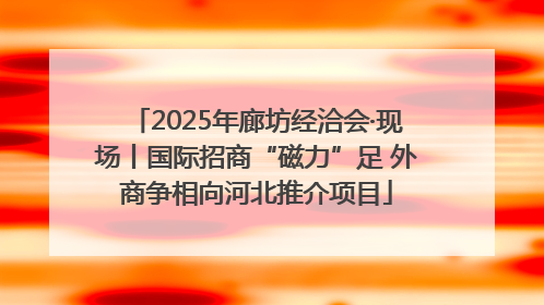 2025年廊坊经洽会·现场丨国际招商“磁力”足 外商争相向河北推介项目
