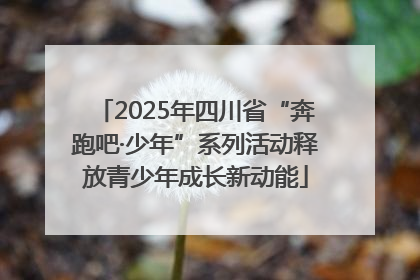 2025年四川省“奔跑吧·少年”系列活动释放青少年成长新动能