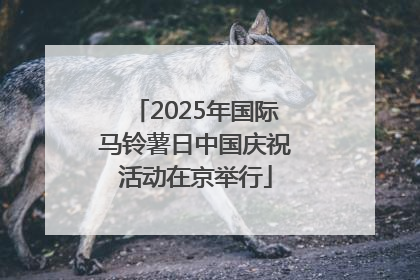 2025年国际马铃薯日中国庆祝活动在京举行