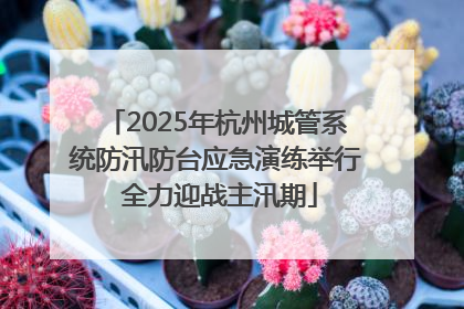 2025年杭州城管系统防汛防台应急演练举行 全力迎战主汛期