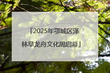 2025年鄂城区泽林旱龙舟文化周启幕