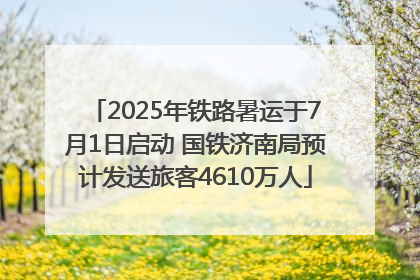2025年铁路暑运于7月1日启动 国铁济南局预计发送旅客4610万人