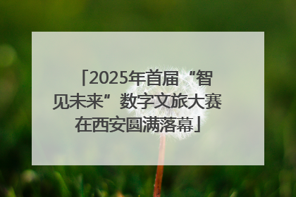 2025年首届“智见未来”数字文旅大赛在西安圆满落幕