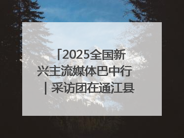 2025全国新兴主流媒体巴中行｜采访团在通江县瞻仰全国最大红军烈士陵园