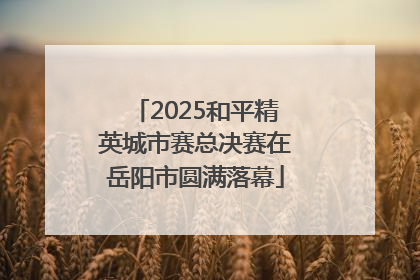 2025和平精英城市赛总决赛在岳阳市圆满落幕