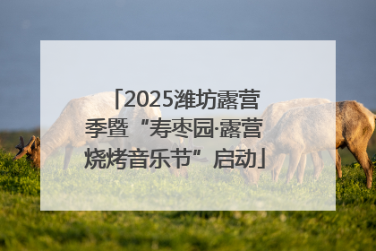 2025潍坊露营季暨“寿枣园·露营烧烤音乐节”启动
