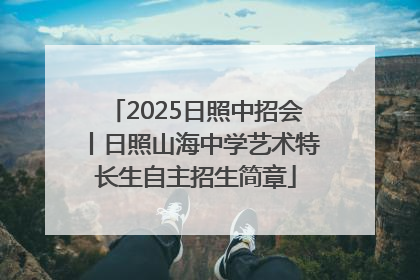 2025日照中招会丨日照山海中学艺术特长生自主招生简章