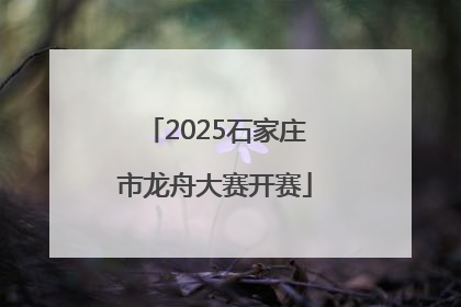 2025石家庄市龙舟大赛开赛