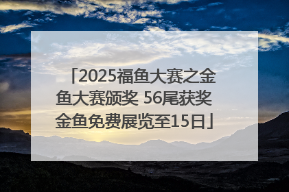 2025福鱼大赛之金鱼大赛颁奖 56尾获奖金鱼免费展览至15日