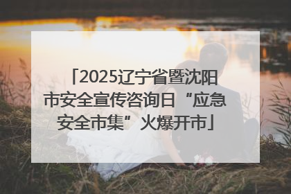 2025辽宁省暨沈阳市安全宣传咨询日“应急安全市集”火爆开市