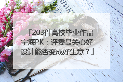203件高校毕业作品宁海PK：评委最关心好设计能否变成好生意？