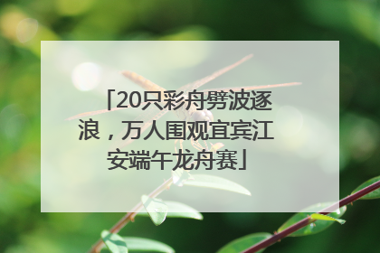 20只彩舟劈波逐浪，万人围观宜宾江安端午龙舟赛