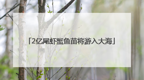 2亿尾虾蟹鱼苗将游入大海