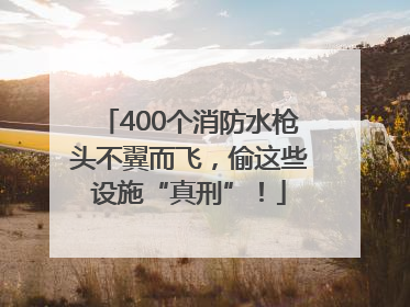 400个消防水枪头不翼而飞，偷这些设施“真刑”！